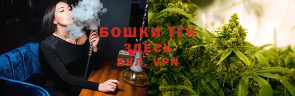 2c-b Алзамай