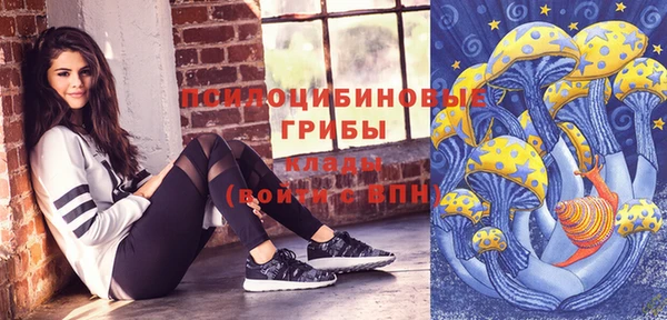 2c-b Алзамай