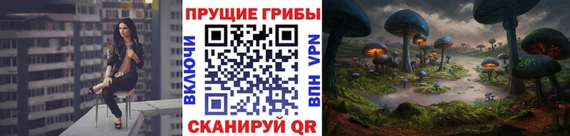 Галлюциногенные грибы Psilocybine cubensis Елец